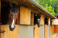 free Trinity Fields stable construction quotes